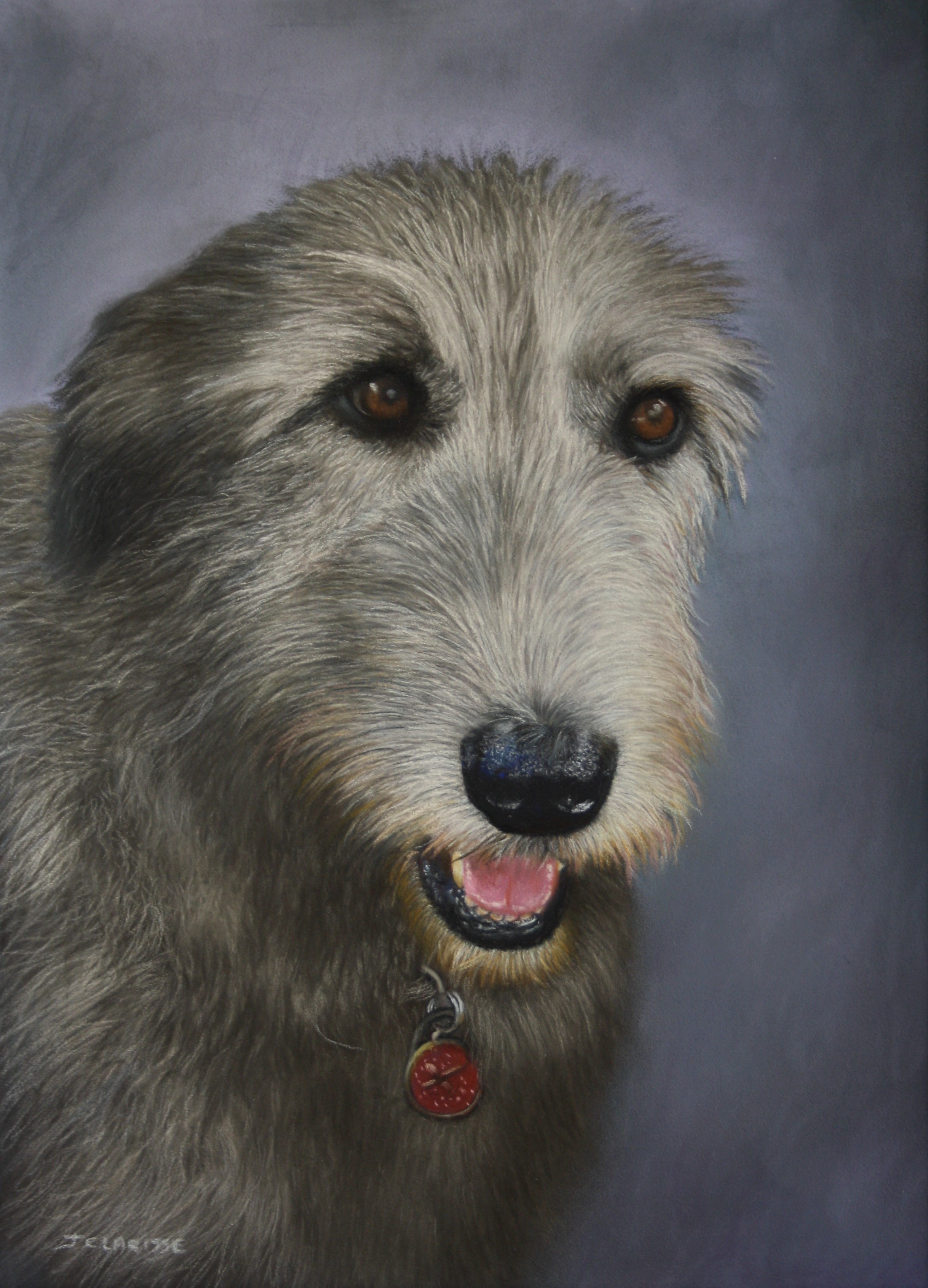 Isadora (Irish wolfhound)