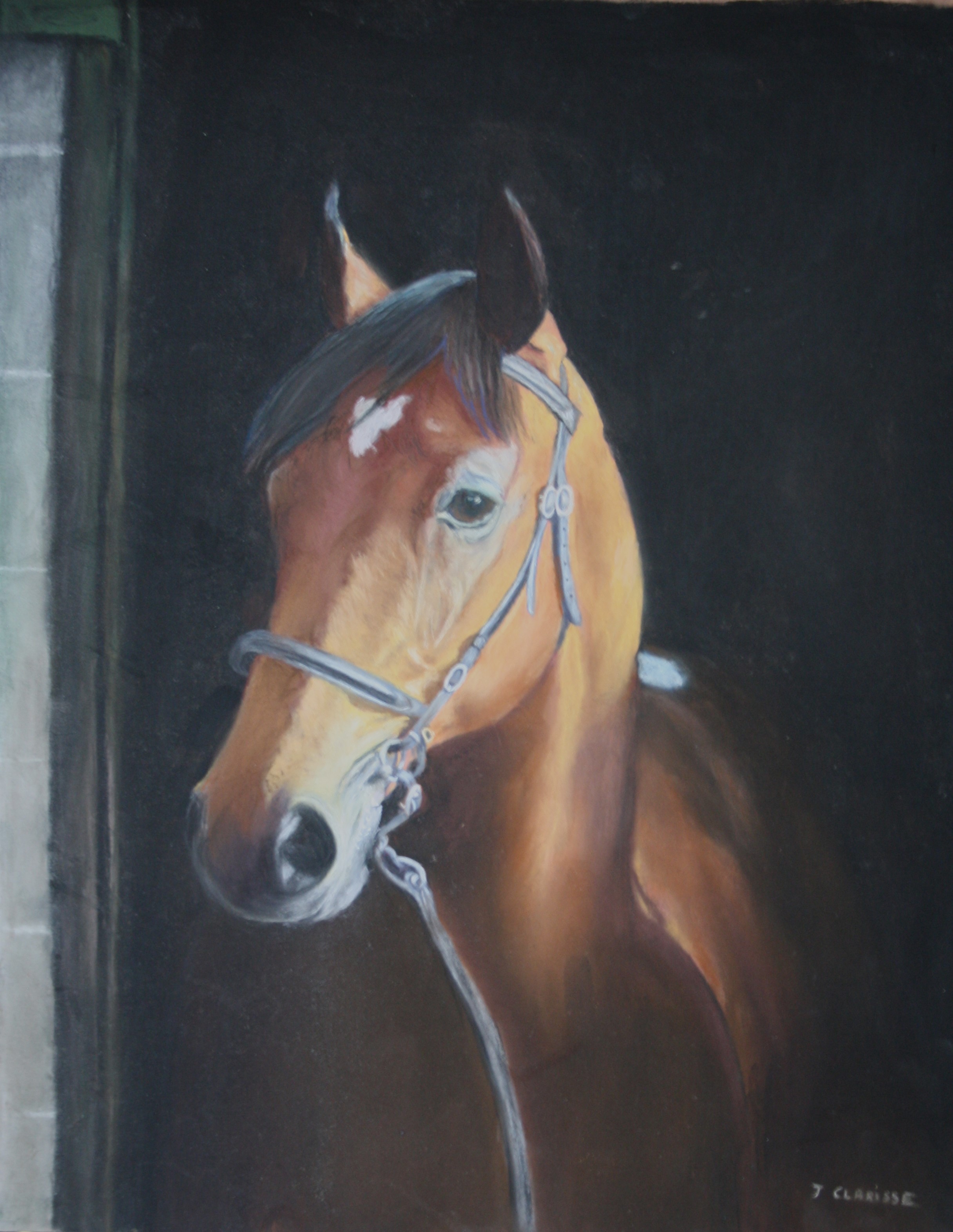 Thoroughbred Irish colt