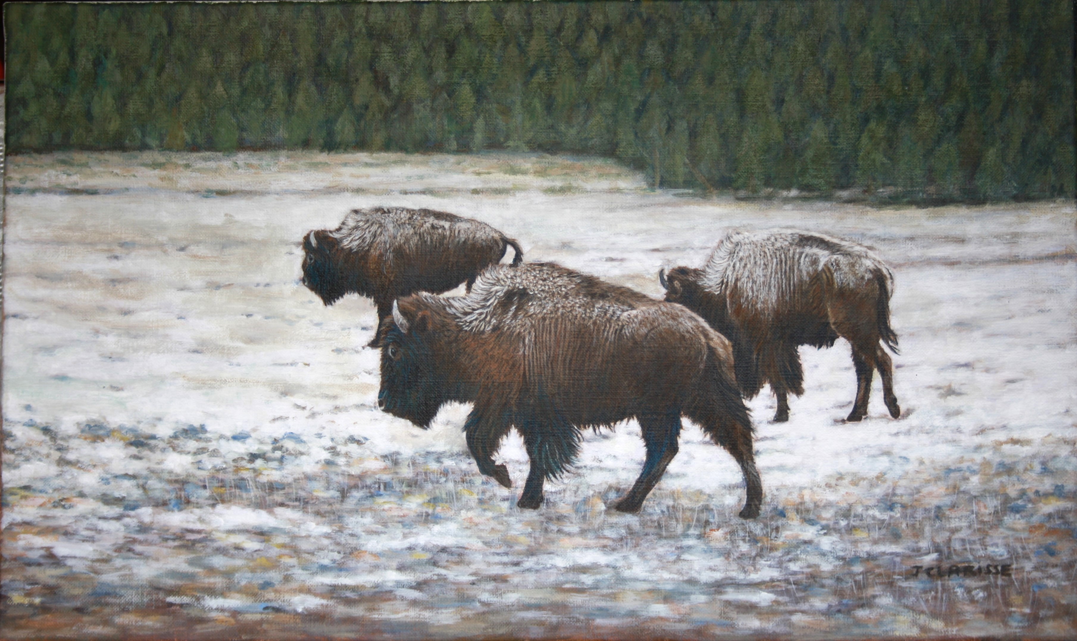 Buffalos