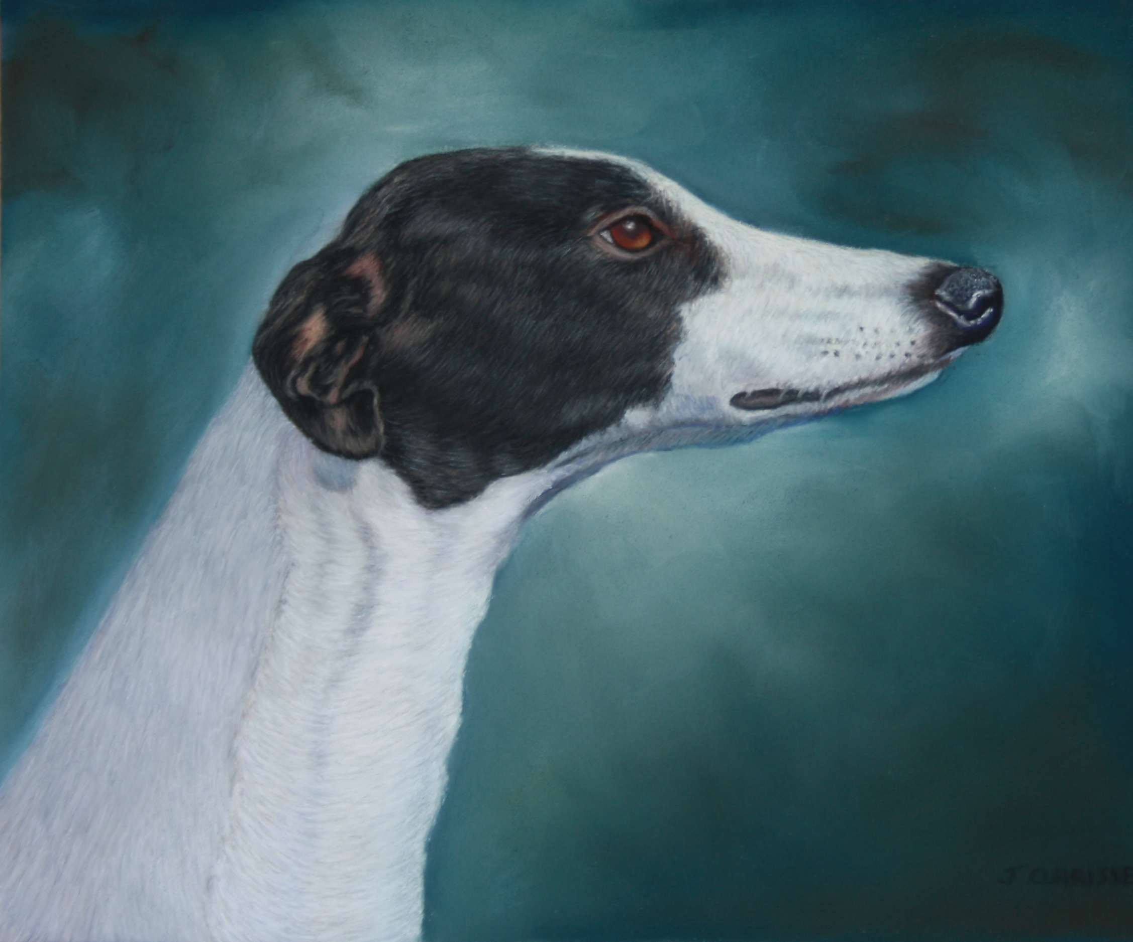 Portrait of a Greyhound