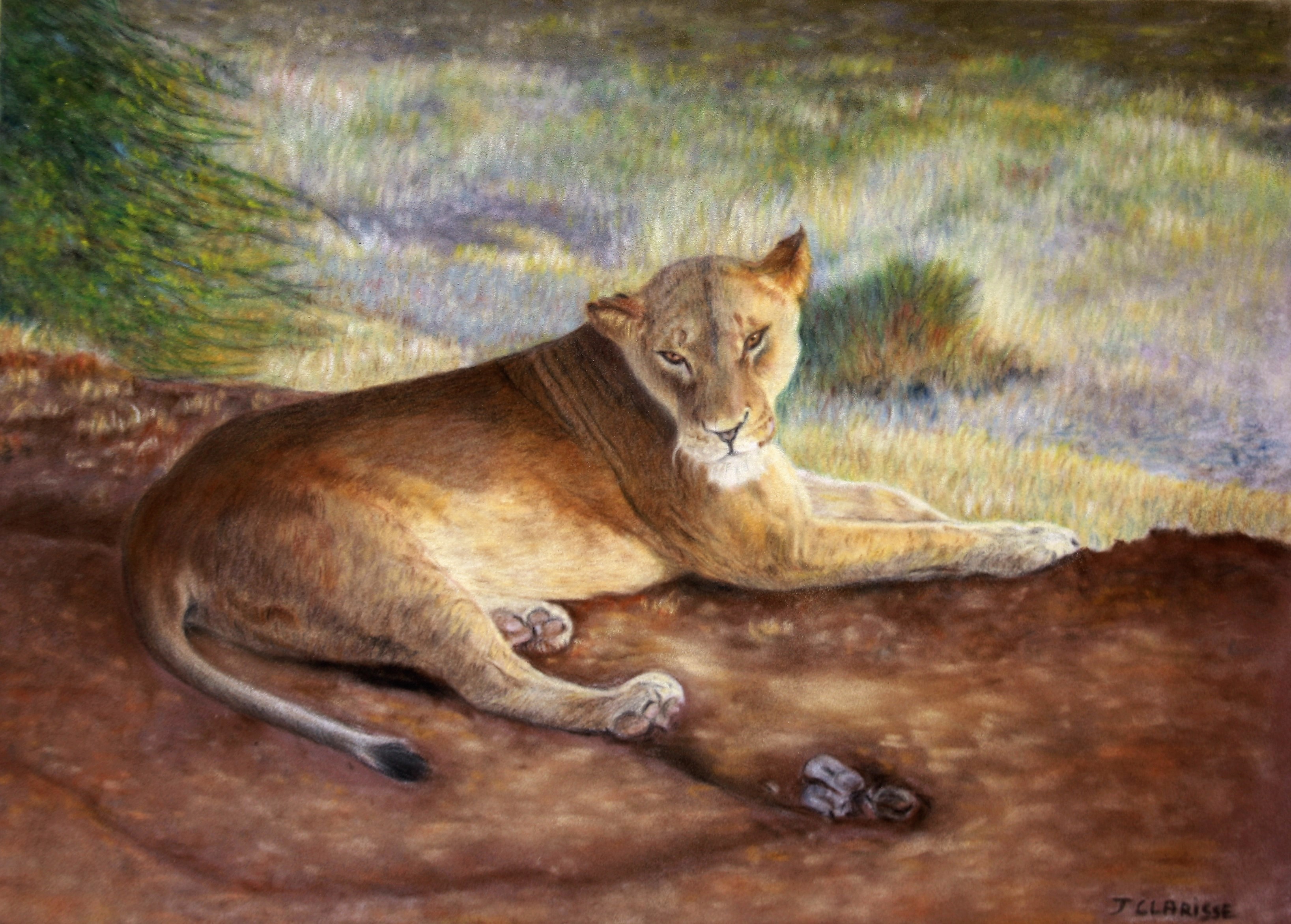 Kenyan lioness