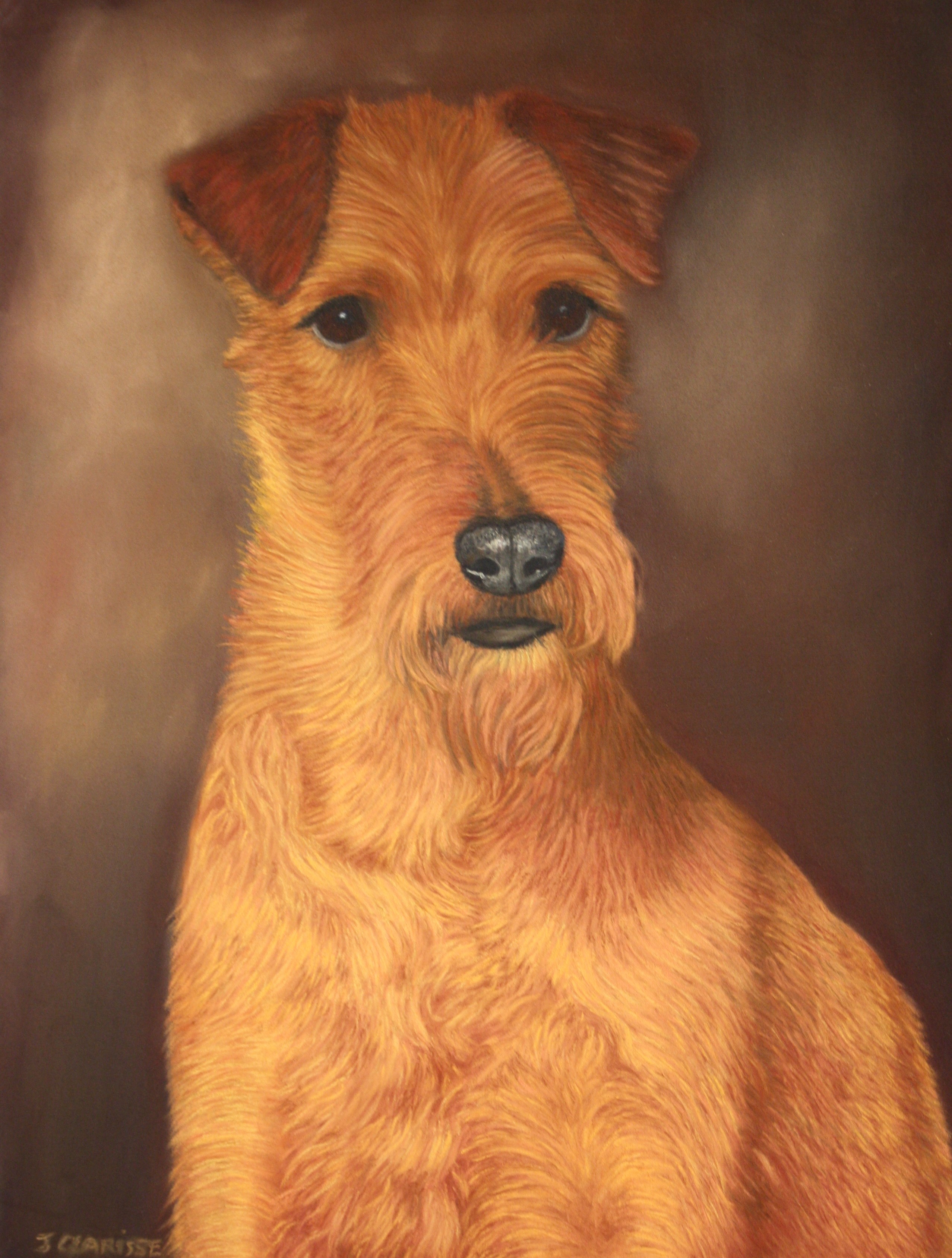 Breezy Becket, Irish Terrier